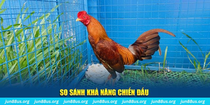 play go88 xổ số tiền giang