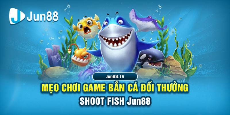play go88 tai game danh bai bigkool ve may tinh