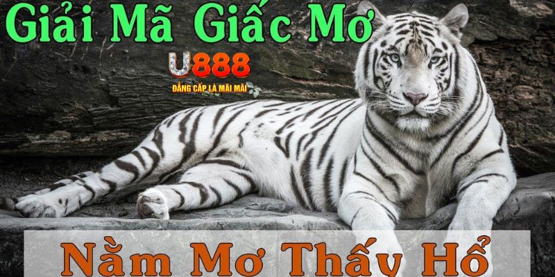 play go88 xổ số kiến thiết miền bắc