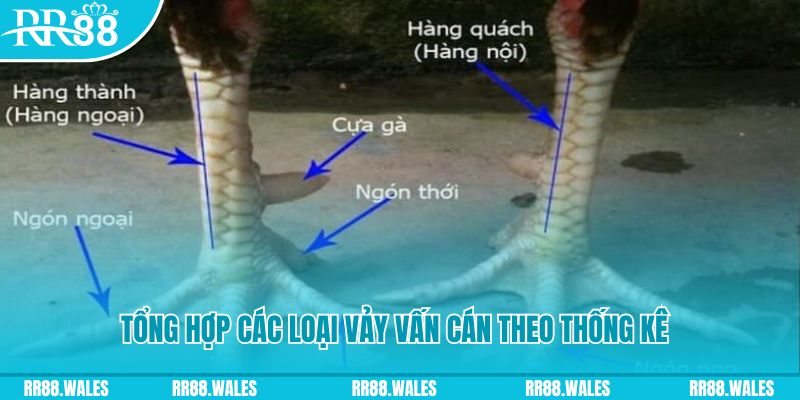 play go88 nổ hũ chơi như thế nào