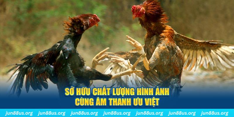 play go88 tai game danh bai ve may tinh