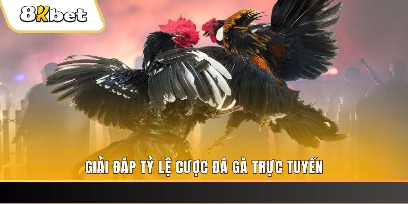 play go88 xổ số ba đài