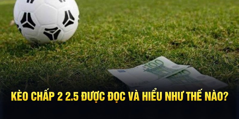 play go88 đá gà thomo